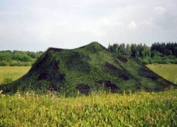 Военные (армейские) маскировочные сети в интернет-магазине в Брянске, купить маскировочную сеть с доставкой картинка 106