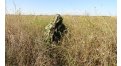 Маскировочный халат Taganrog Кикимора – купить по цене 3550 руб. в интернет-магазине в городе Брянск картинка 13